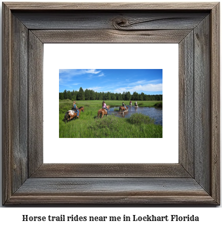 horse trail rides near me in Lockhart, Florida